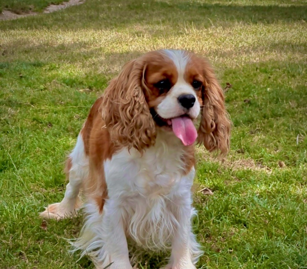 Rubie jolie Di Casa Borgo